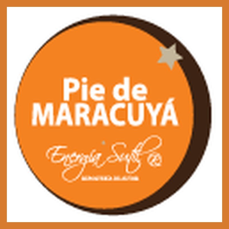 Pie de Maracuyá